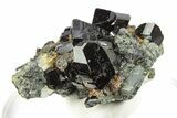 Gemmy Cassiterite Crystals on Quartz - Viloco Mine, Bolivia #249668-1
